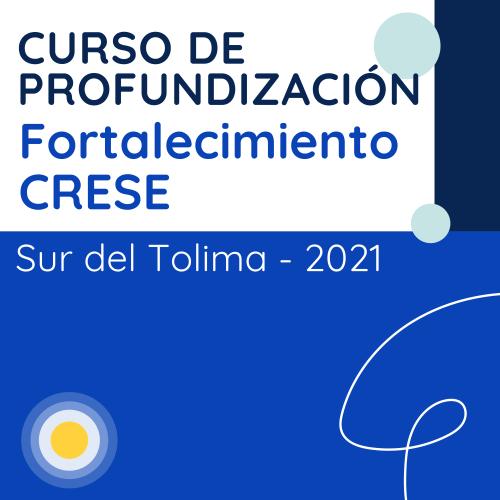 Fondo azul con título alineado a la izquierda con la inscripción "Curso de profundización Fortalecimiento CRESE". 