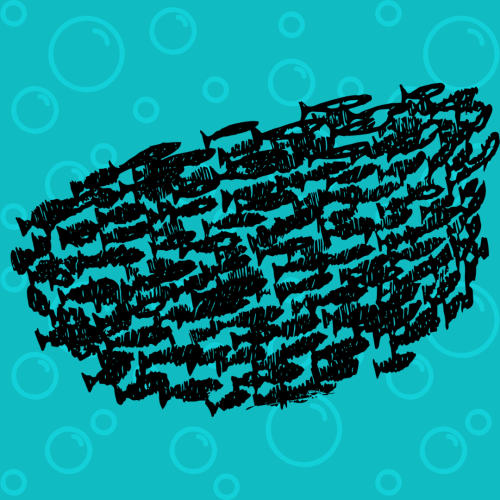 cardumen o banco de peces en fondo agua marina ColombiaAprende