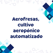Diseño gráfico que dice "Aerofresas, cultivo aeropónico automatizado" en letras azules grandes y oscuras. Hay elementos geométricos de colores azul claro y azul oscuro dispersos en las esquinas de la imagen.