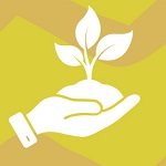  Imagen manos entrelazadas