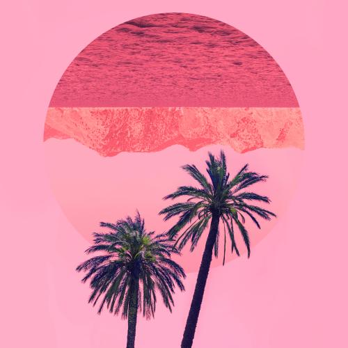 Collage mar y palmeras