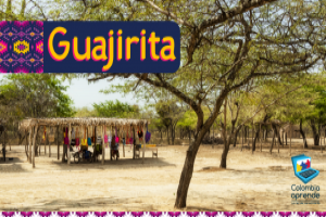 Guajirita Guajirita