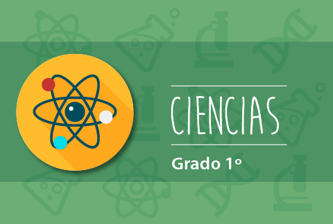 Contenido Educativo Digital Ciencias Grado 1