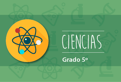 Contenido Educativo Digital Ciencias Grado 5
