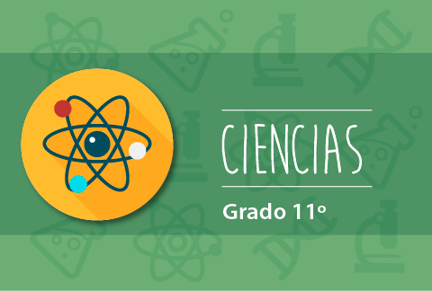Contenido Educativo Digital Ciencias Grado 11