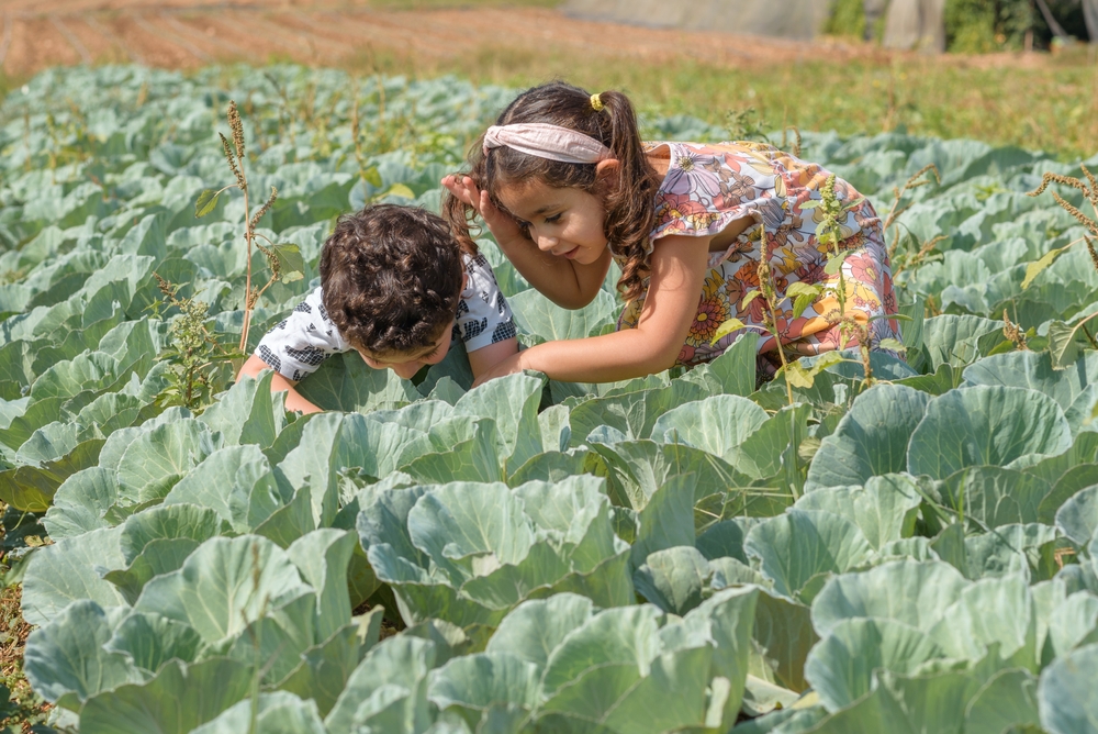 Fotografía dos niños en medio de un cultivo