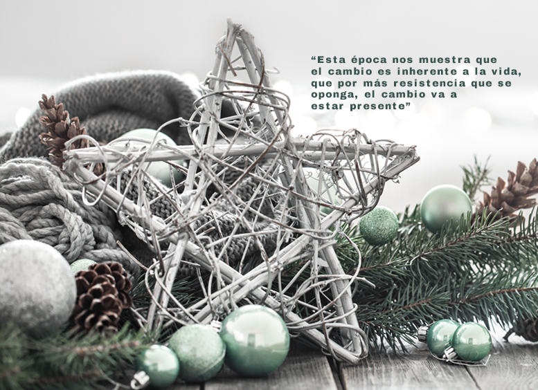 foto de una estrella de navidad en medio de la nieve