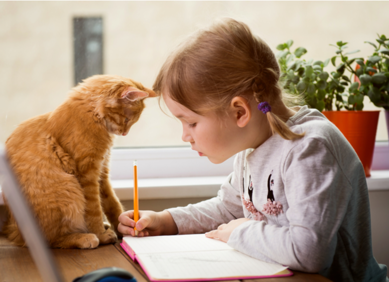 Niña haciendo tarea y un gato amarillo la mira escribir muy atento