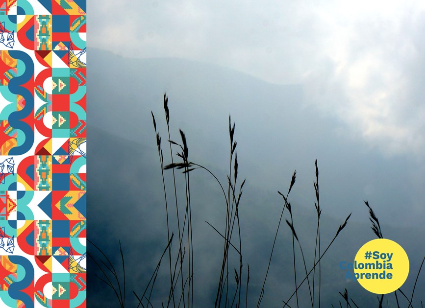 Imagen del horizonte con algunas ramas