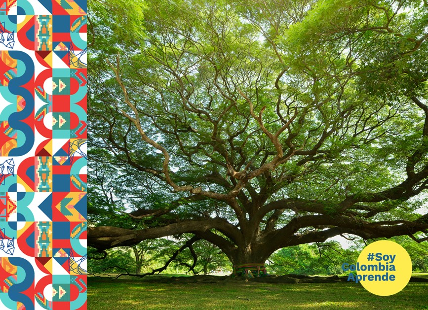 Gran arbol de tailandia