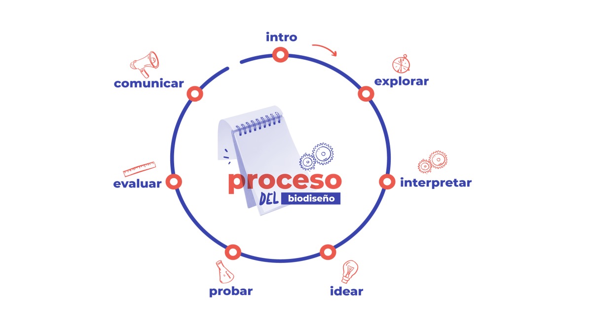 Círculo que detalla el proceso del biodiseño