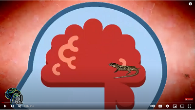 Tipos de Pensamientos Erroneos y Como Cambiarlos