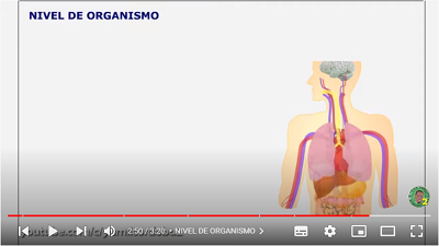 Video biología