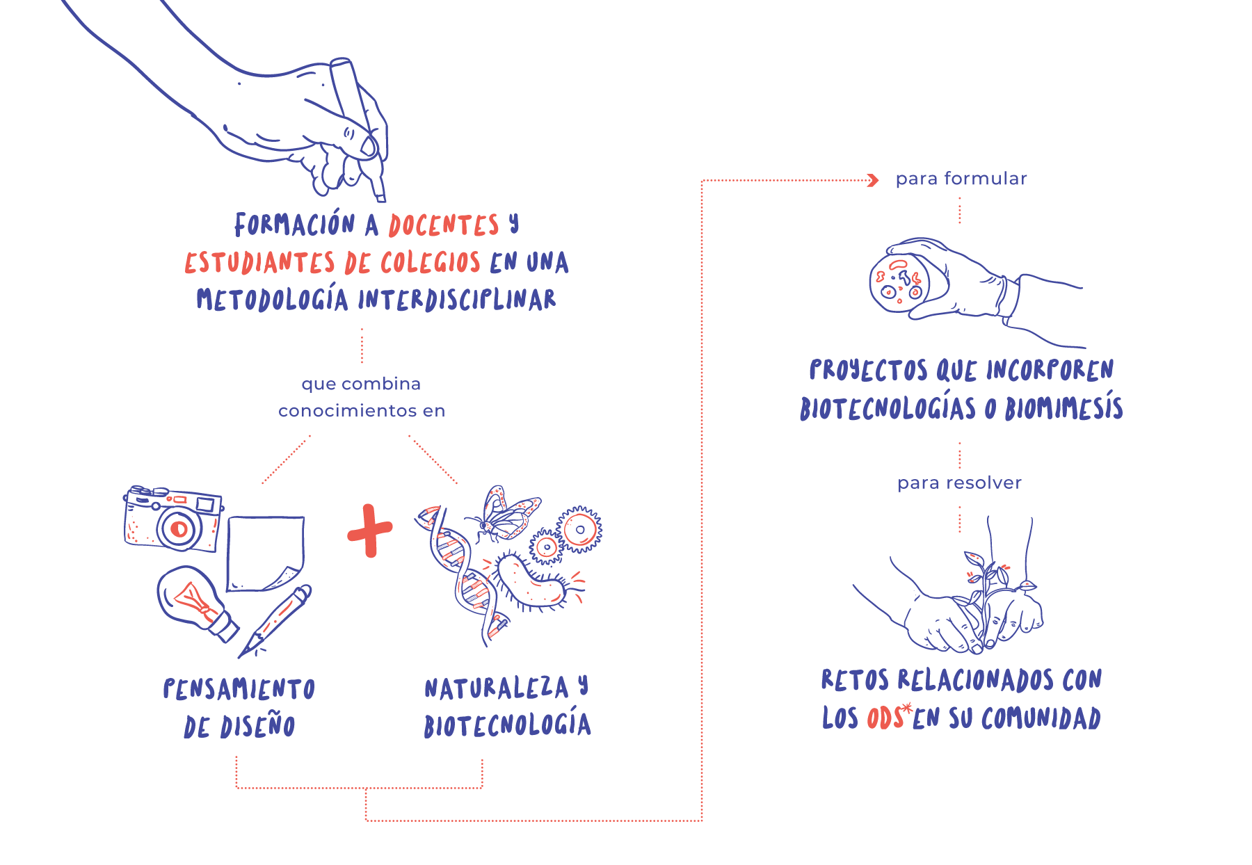 Ilustración Comprende qué es el biodiseño