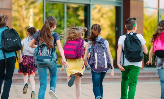 Grupo de niños yendo juntos a la escuela, siete niños de espaldas caminan hacia la puerta del colegio con maletas