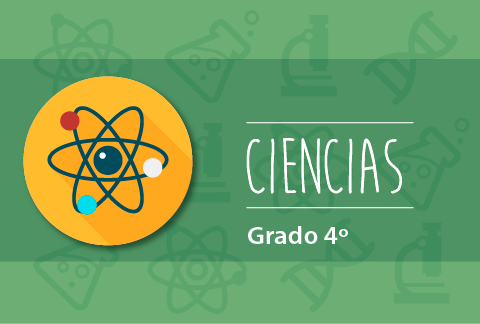 Contenido Educativo Digital Ciencias Grado 4