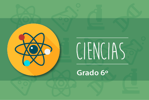 Contenido Educativo Digital Ciencias Grado 6