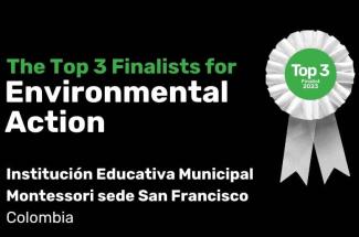 Imagen de diploma en inglés que dice "The top 3 finalists for environmental action" y el nombre la institución