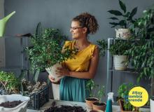 Foto de chica joven que sostiene una planta y la observa detalladamente