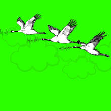 Tres patos volando sobre un cielo verde fosforescente ColombiaAprende